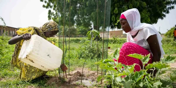 Regreening Africa, la iniciativa por la degradación de la tierra