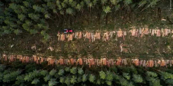 Organizaciones que luchan por los derechos humanos y el medio ambiente