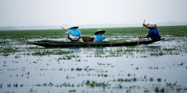 Humedales en Asia
