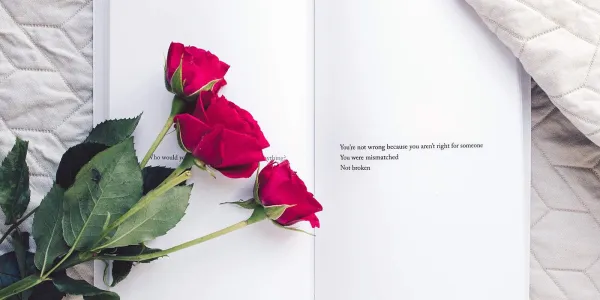 Día del Libro / Sant Jordi