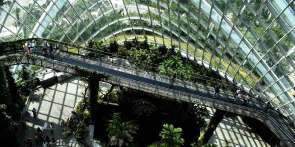 Sostenibilidad empresarial