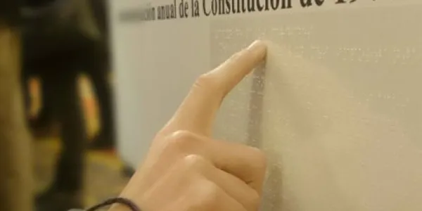 Persona leyendo la Constitución