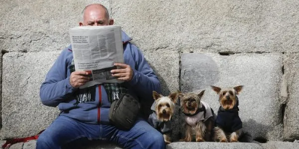 ¿Qué pasa con las mascotas ante un divorcio o separación?