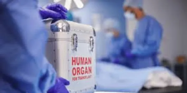 Los españoles apoyan la donación de órganos