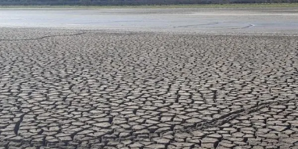 El colapso ecológico al que esta expuesto Doñana