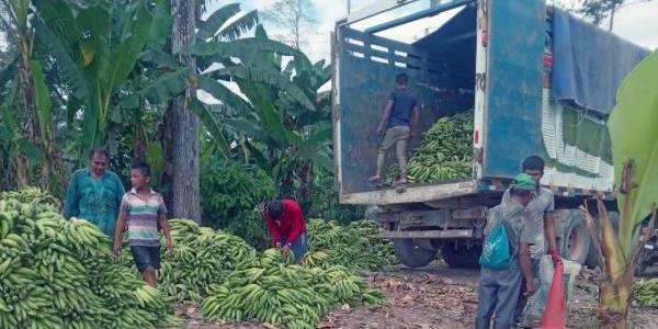 Los jóvenes emprendedores que han llevado la economía circular al Amazonas