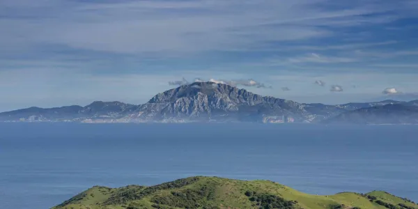 Desafío por la ELA