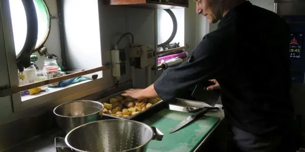 Aumenta la tasa de ocupación en España