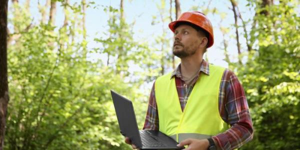 Ingeniero forestal 