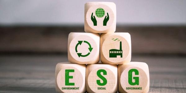 Las ESG más importantes para las empresas durante este 2025