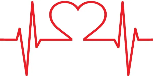 Dibujo de un corazón representando las enfermedades cardiovasculares