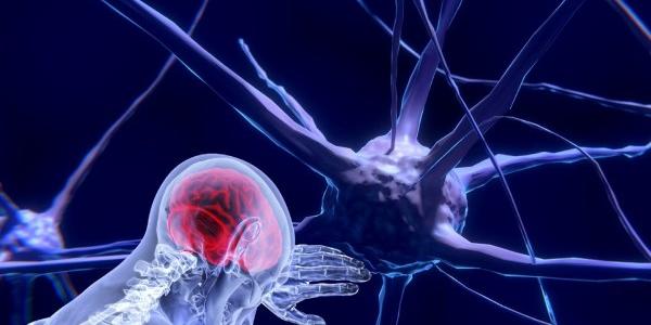 Avances para nuevos tratamientos de enfermedades neuromusculares como ELA