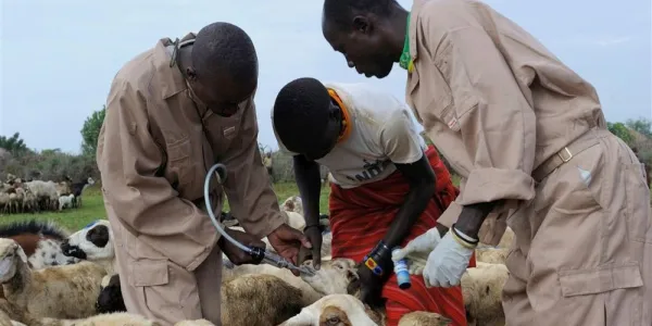 Personas con animales / Foto: portalveterinaria