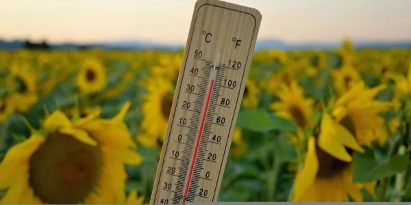 España registra más de 5000 muertes por calor este verano