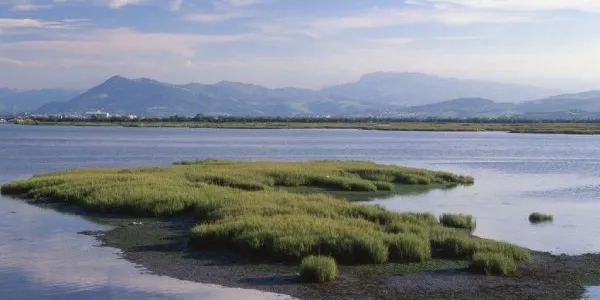 Parque Natural de las Marismas de Santoña, Victoria y Joyel de Cantabria, humedales españoles