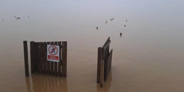 'Albufera tras la DANA