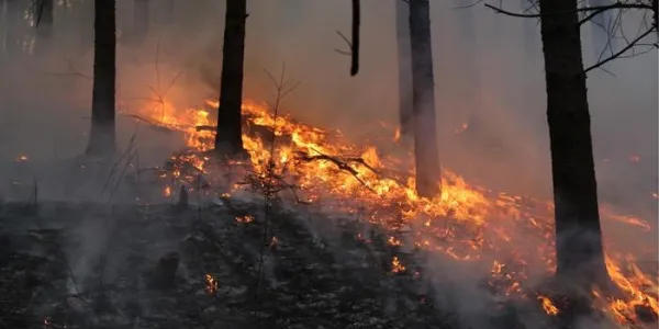 Incendio 