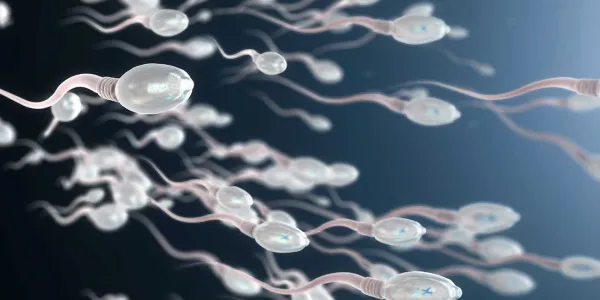 La salud de los espermatozoides no es buena 