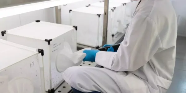 virus del Nilo 