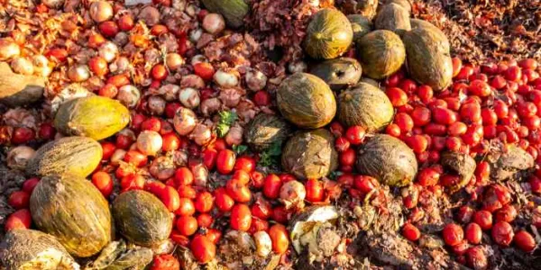 Desperdicio alimentario