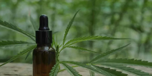 Flores CBD natural