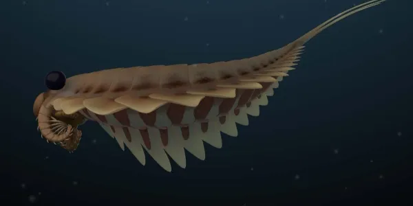Imagen en 3D de los fósiles 