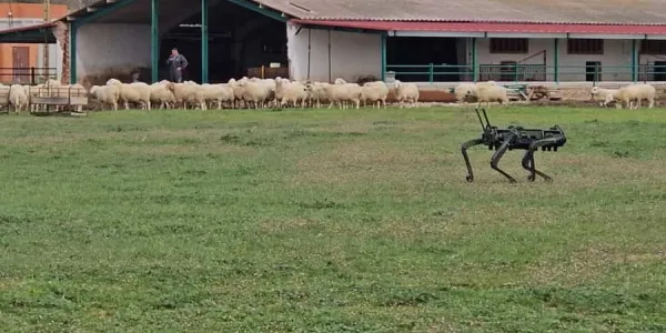 Tecnología para el pastoreo