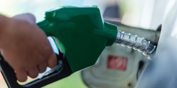gasolina