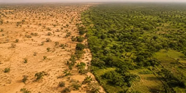 La Gran Muralla Verde de África