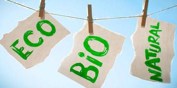 Infografía que muestra etiquetas de Eco, Bio y Natural, tendidas en una cuerda de tender ropa