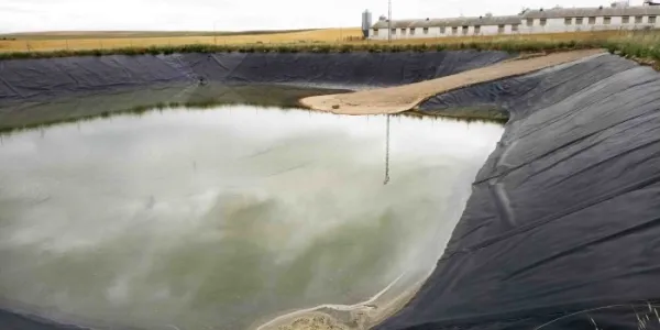 Balsa con rampa de hormigón, segura para la fauna, en la provincia de Segovia 