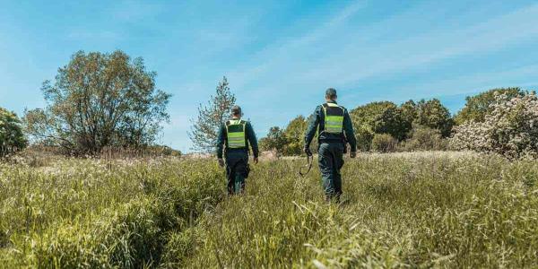 Los guardas forestales, día internacional