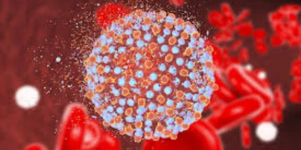 Virus de la Hepatitis C