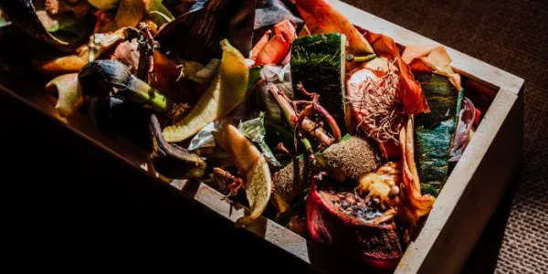 Desperdicio alimentario
