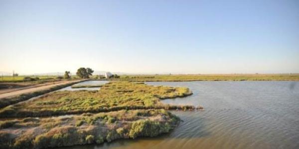 Imagen Delta del Ebro que muestra la orilla de una laguna con una casa al fondo