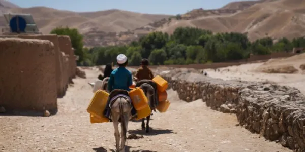Niños viajan en burros tras recoger agua en Afganistán 