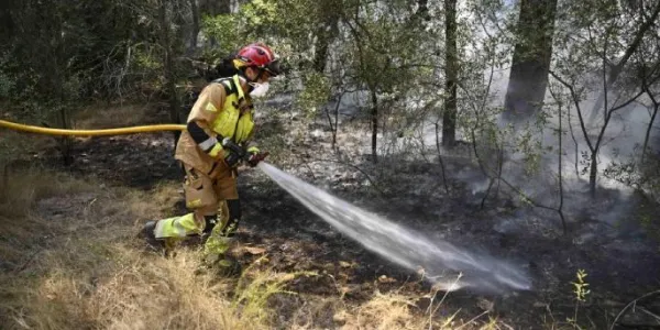 Efectivos de bomberos trabajan en Castellón