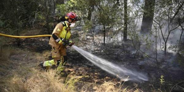 Efectivos de bomberos trabajan en Castellón