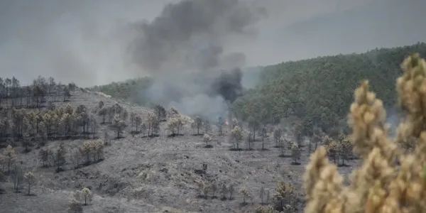 Extensión forestal calcinada por el incendio de La Mierla, en Guadalajara