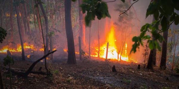 El humo de los incendios y la salud