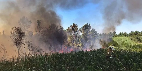 Tareas de extinción del incendio registrado en Goiás / Faro de Vigo