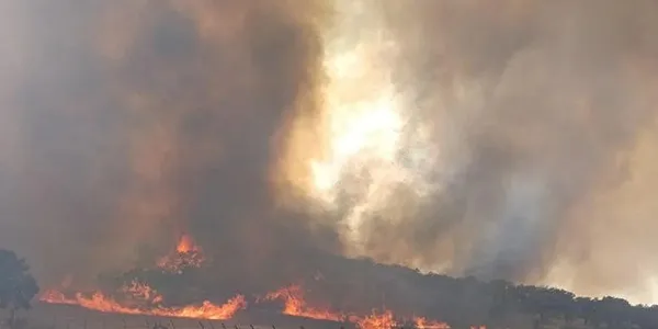 Campañas contra incendios forestales