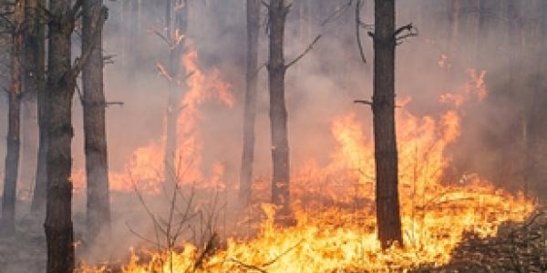 Comienza la campaña contra los incendios forestales