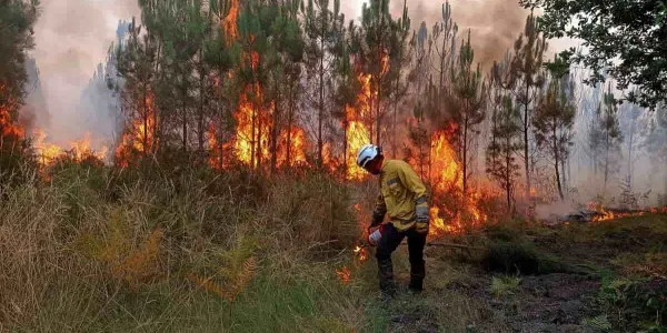 Aumentan los incendios forestales en 2026