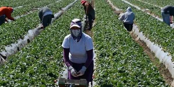 Inmigrantes trabajando