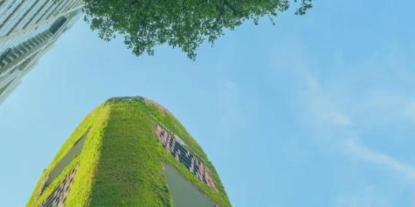 inteligencia sostenible 