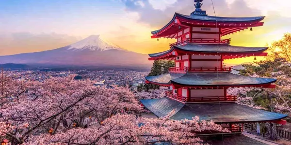 JESTA, documentación para viajar en Japón