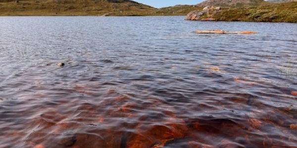 Uno de los lagos de Groenlandia en marrón por el cambio climático