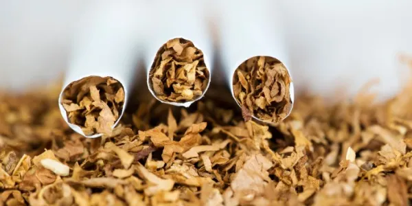 tabaco