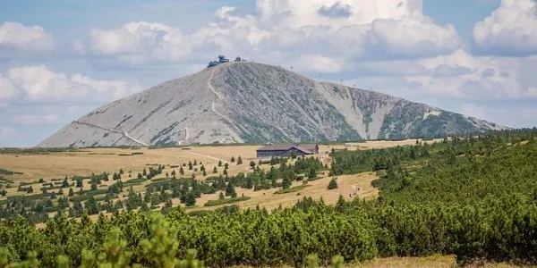 Limpiar los montes
